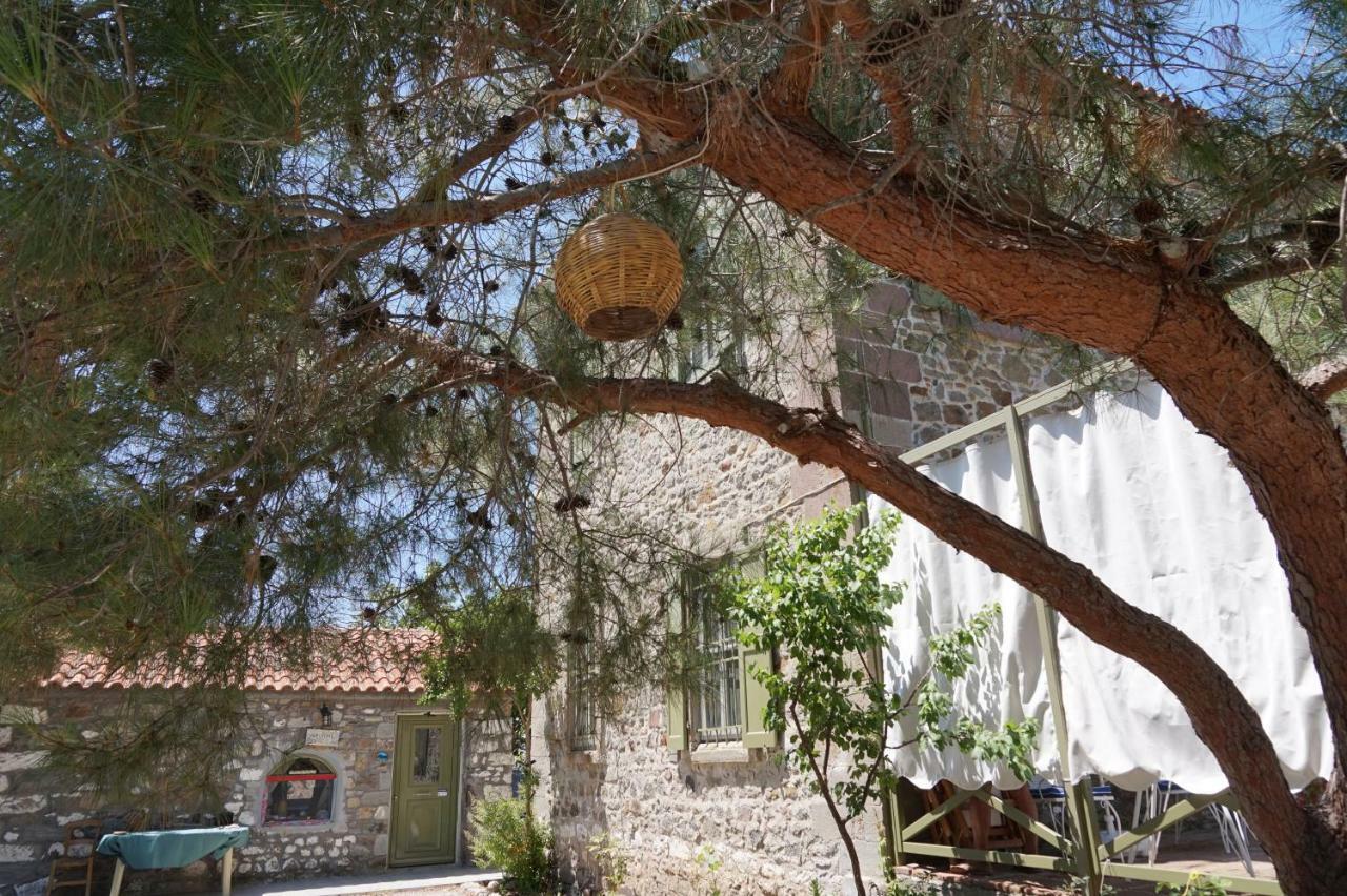 Chalantra Residence Skala Eresou Exterior photo
